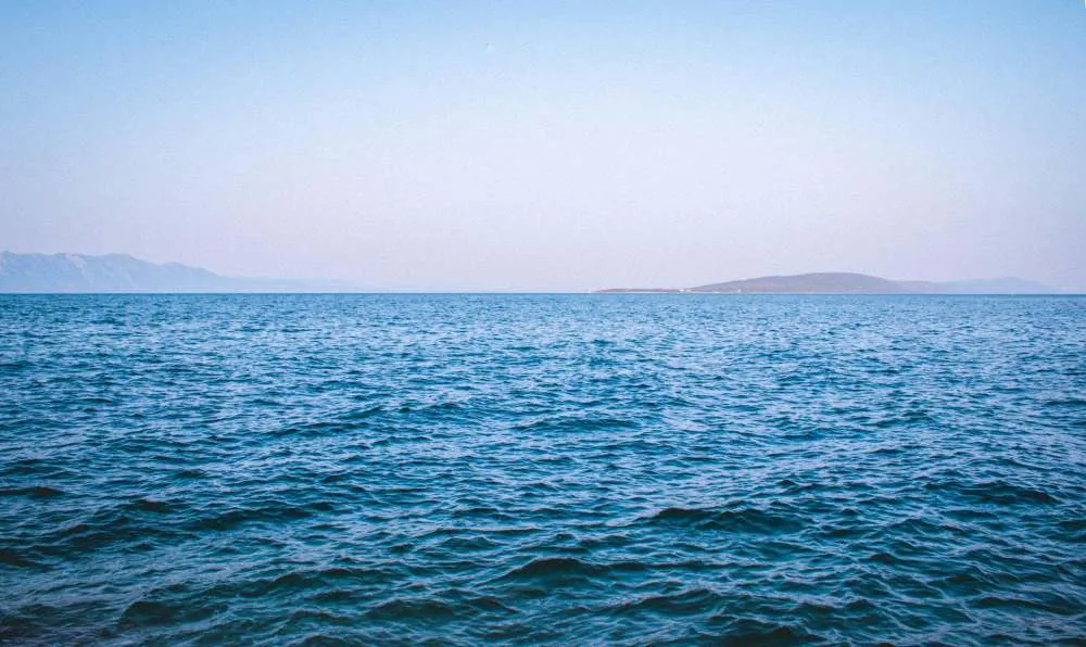 Pescado Azul Omega 3